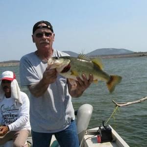 Meet your Posher, Bob